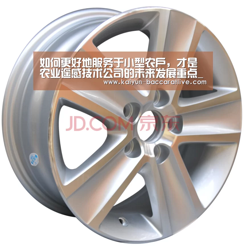 如何更好地服务于小型农户,才是农业遥感技术公司的未来发展重点_开云登录(图1) 开云入口