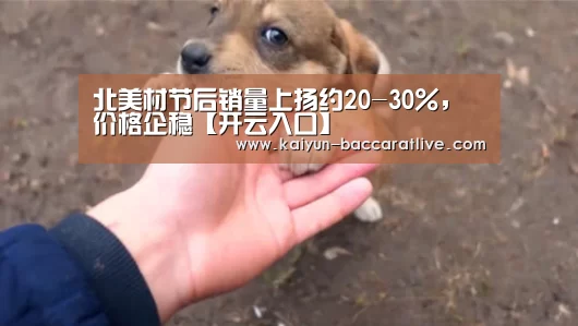 北美材节后销量上扬约20-30%,价格企稳【开云入口】(图1) 开云入口