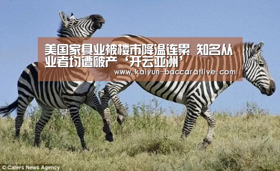 美国家具业被楼市降温连累 知名从业者均遭破产‘开云亚洲’(图1) 开云亚洲