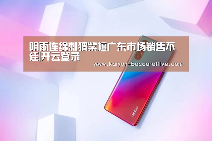 开云登录