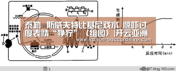 泰勒-斯威夫特比基尼戏水 惊吓过度表情“狰狞”（组图）|开云